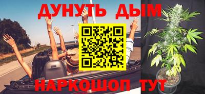 дмт Бийск