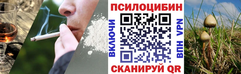 Псилоцибиновые грибы мицелий  купить  цена  Звенигород 