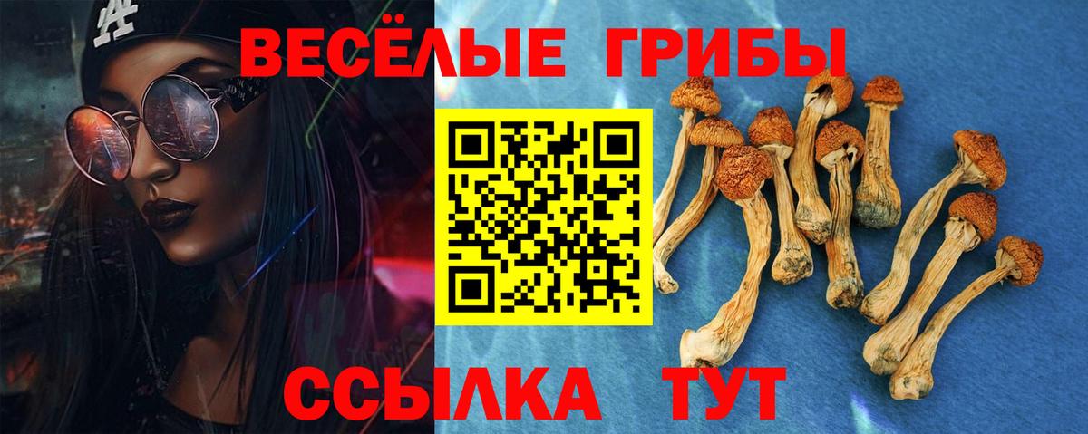 Псилоцибиновые грибы Psilocybine cubensis  Вход с VPN  Звенигород 